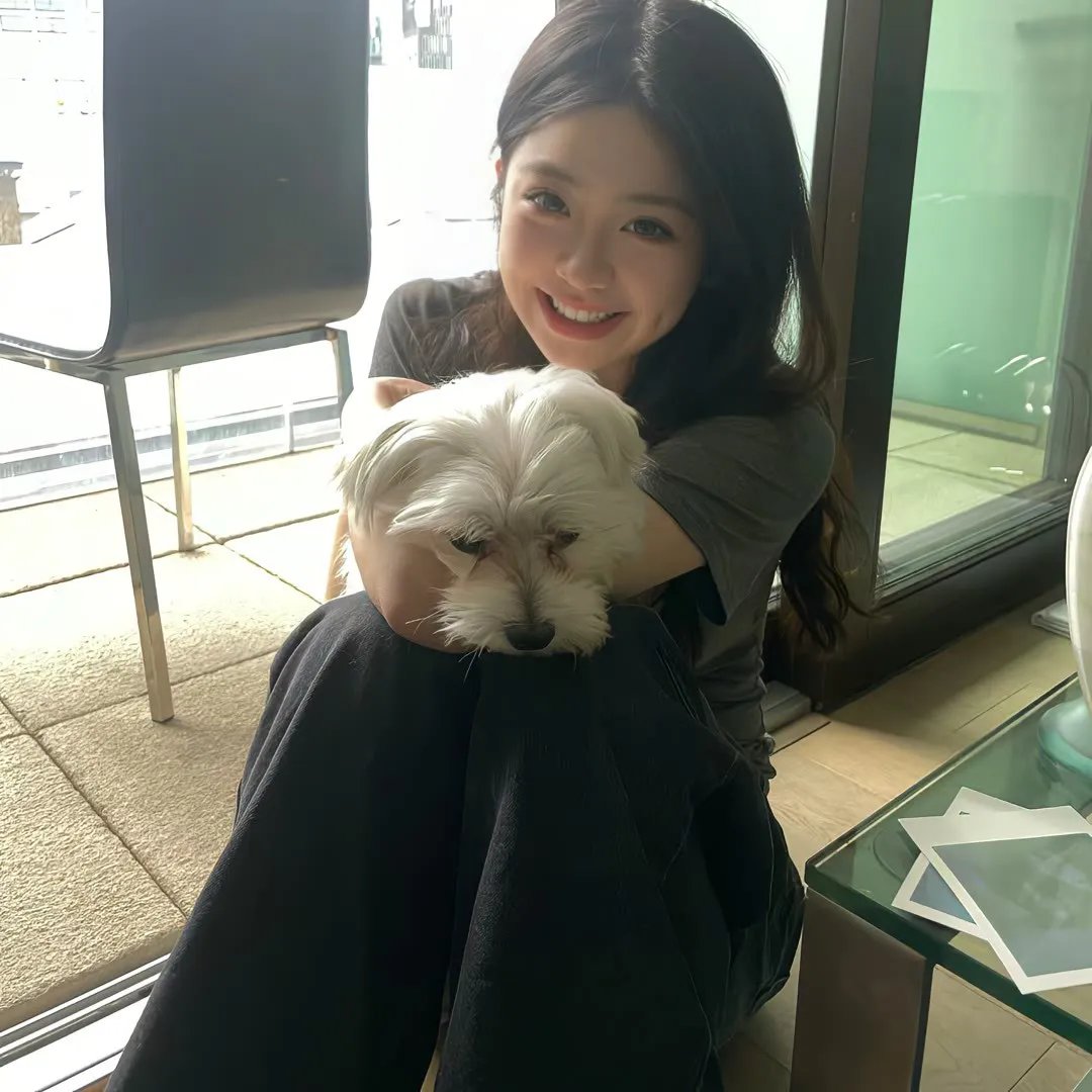 十二猴子